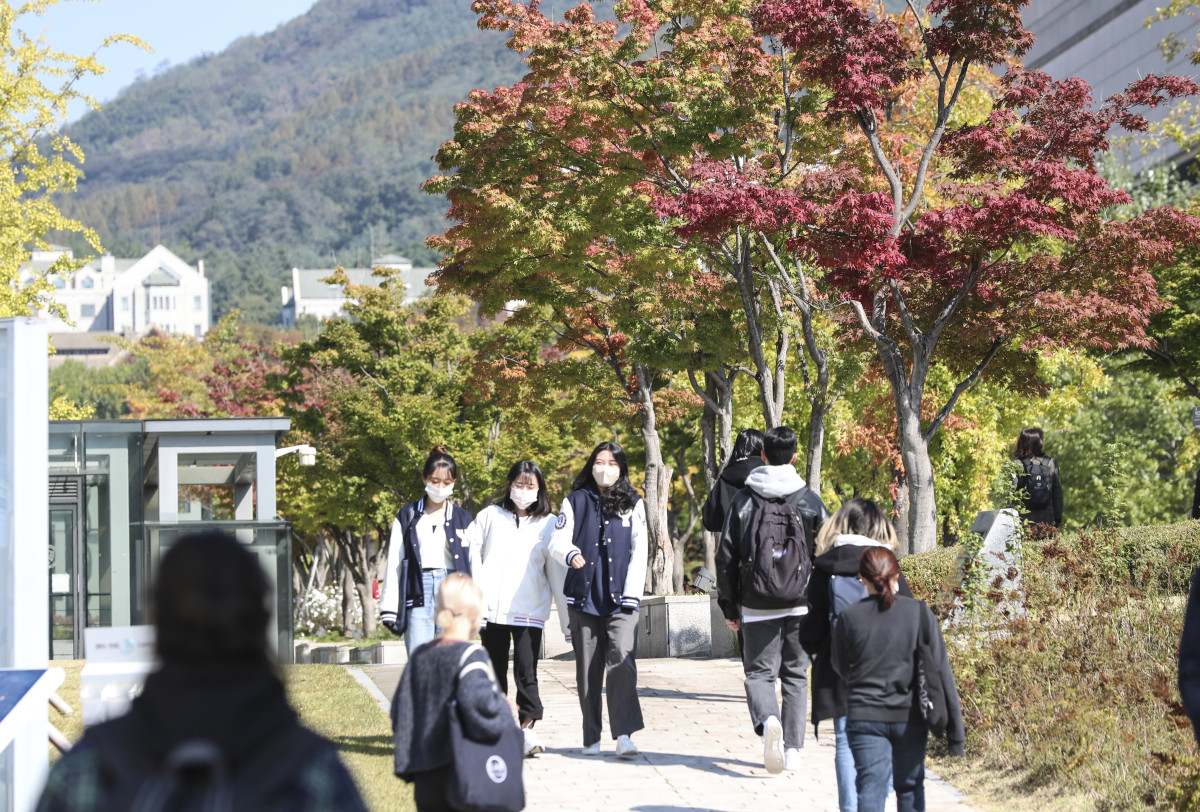 ▲서울 시내의 한 대학교정 (뉴시스)