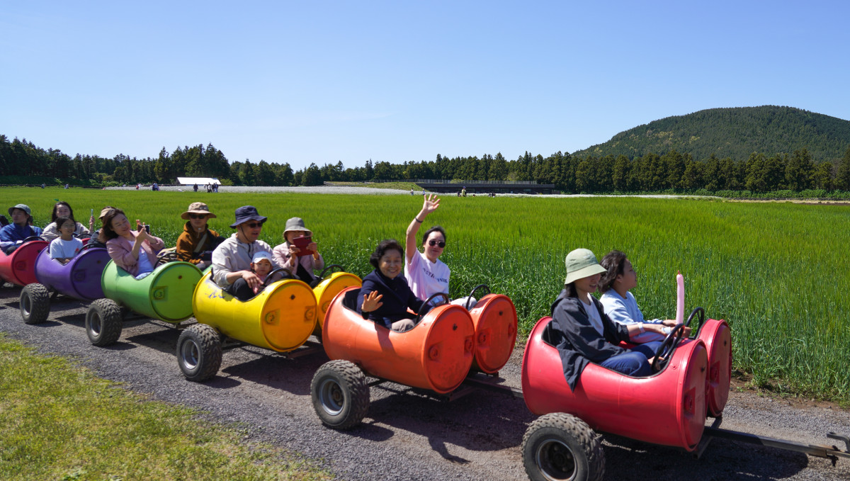 ▲어버이날인 8일, 전국이 대체로 맑은 가운데 사람들이 녹색 들판을 따라 미니 기차에 탑승해 자연을 즐기고 있다. (뉴시스)