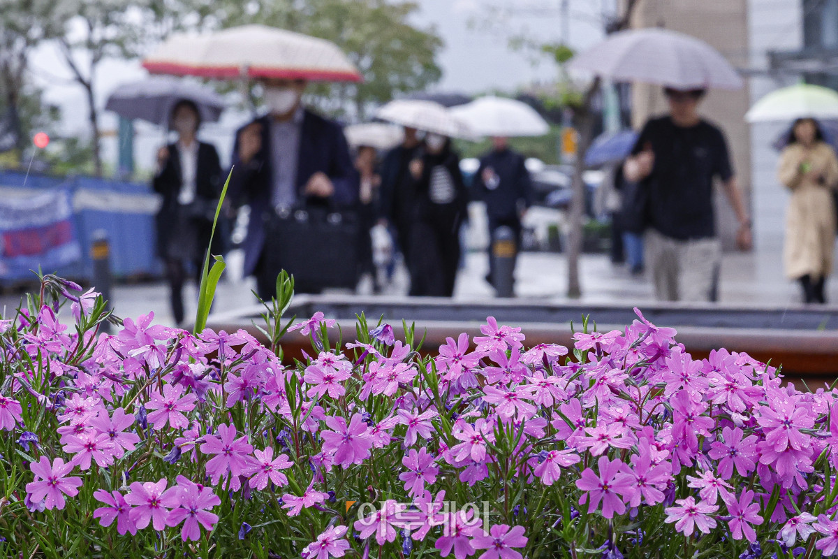 ▲전국에 비가 내린 9일 서울 종로구 광화문역 일대에서 우산을 쓴 시민들이 비를 피해 발걸음을 옮기고 있다. 기상청에 따르면 중국 상하이 부근에서 서해상으로 이동하는 저기압의 영향을 받아 전국이 대체로 흐리고 비가 내리겠다고 예보했다. 이날 아침 최저기온은 10~15도, 낮 최고기온은 15~20도로 주말까지 평년보다 쌀쌀한 날씨가 이어질 전망이다. 조현호 기자 hyunho@