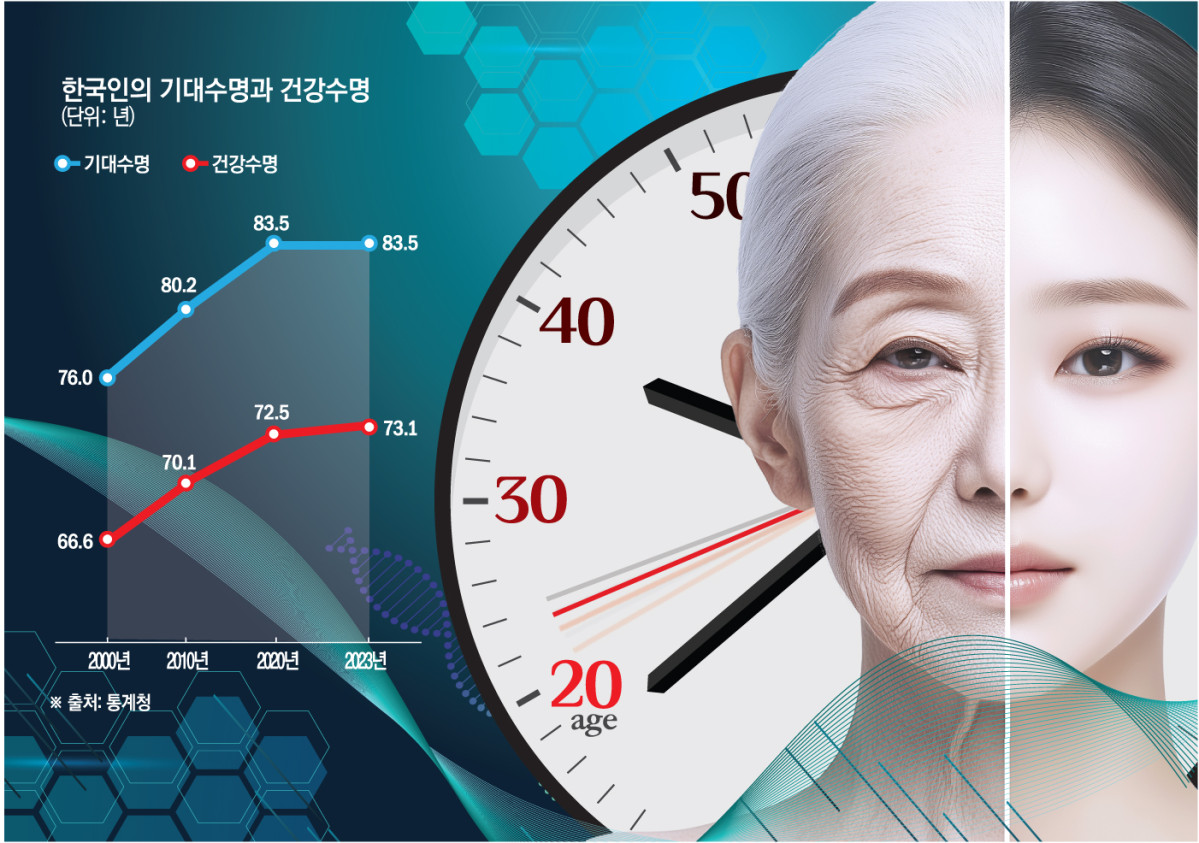 (그래픽=신미영 기자 win8226@)