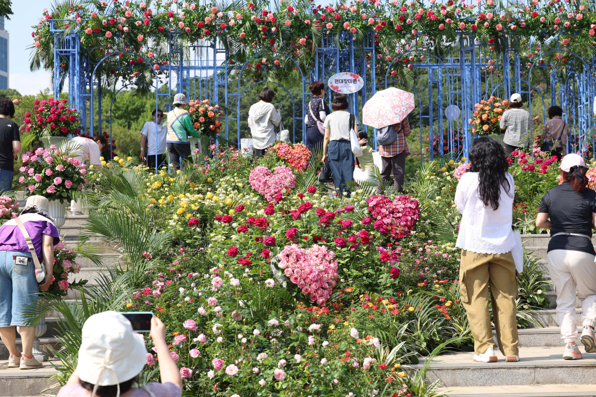 ▲지난달 22일 서울 동작구 보라매공원에서 열린 ‘2025 서울국제정원박람회’를 찾은 시민들이 정원을 거닐고 있다. 올해 10회째를 맞이한 이번 전시는 ‘서울, 그린 소울(Seoul, Green Soul)’를 주제로 총 110여개의 정원이 조성됐으며, 10월 20일까지 진행된다. 신태현 기자 holjjak@