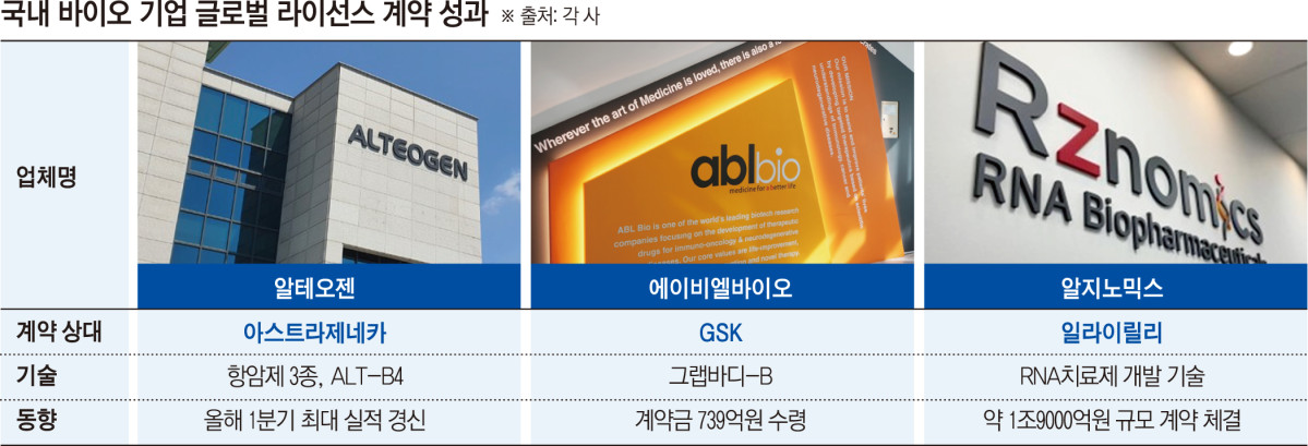 (그래픽=신미영 기자 win8226@)