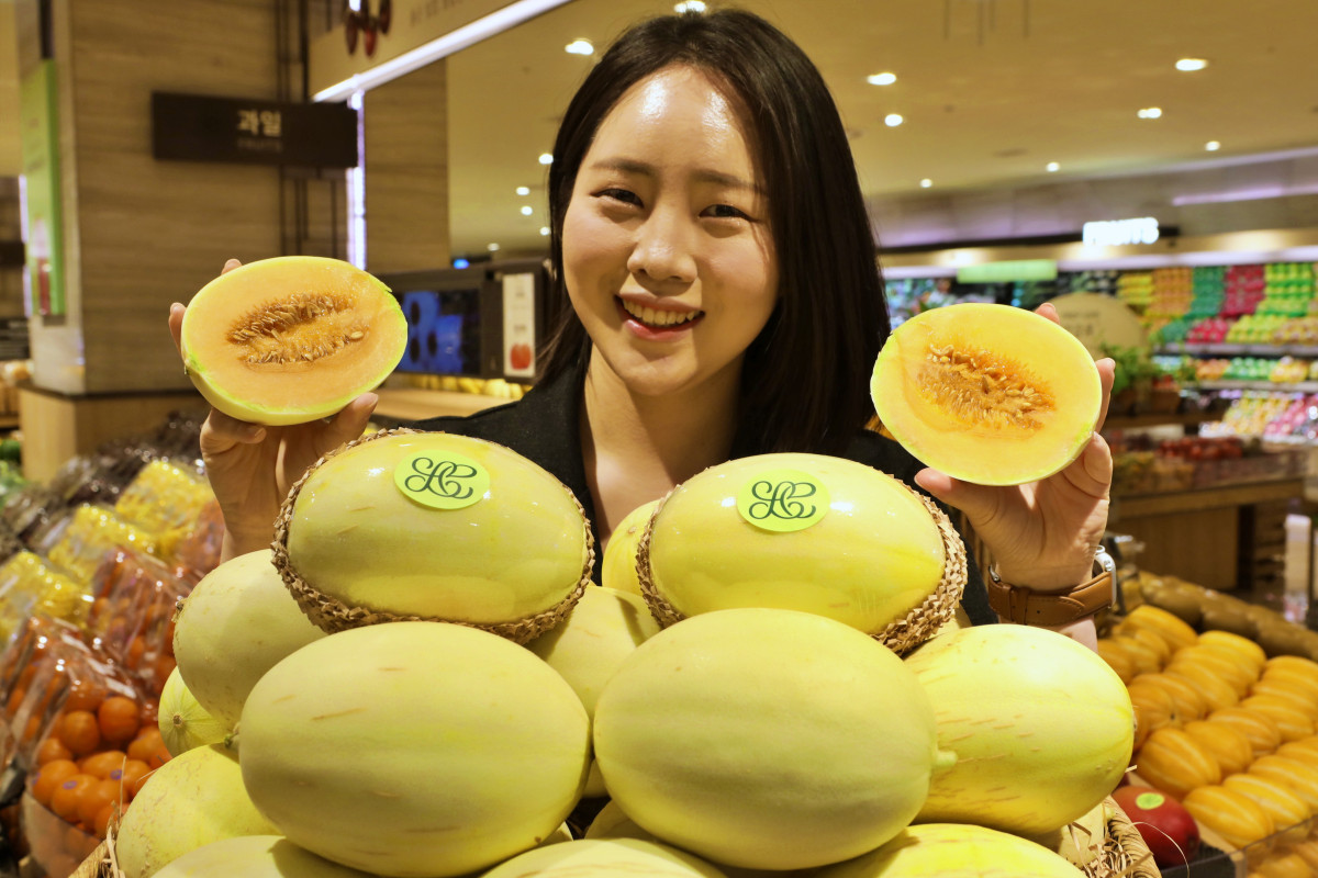 ▲26일 롯데백화점 모델이 서울 소공동 본점 지하 1층 식품관에서 '솜사탕 멜론'을 소개하고 있다. (사진제공=롯데쇼핑)