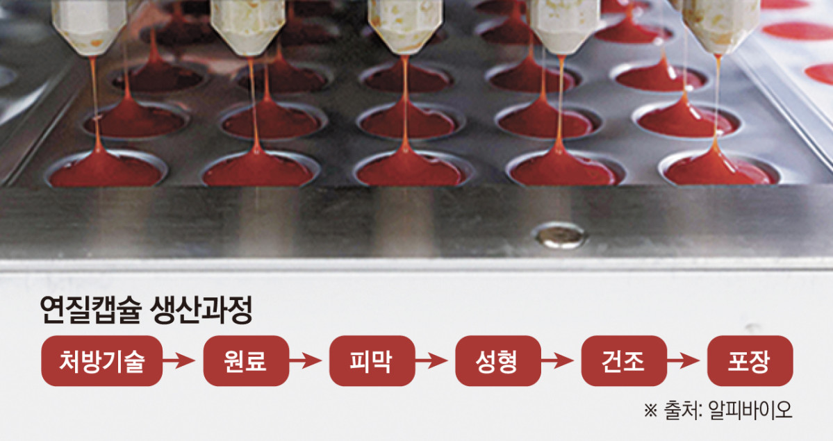 “하루 수십만 캡슐 생산”…마도공장서 본 연질캡슐 탄생기