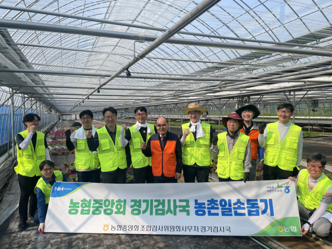 ▲유승민 경기검사국장이 27일 오산시 서동 화훼농가 비닐하우스에서 농협중앙회 경기검사국 직원들과 함께 농촌 일손돕기 봉사활동에 참여하고 있다. (경기농협)