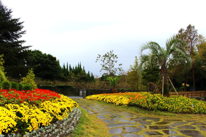 ▲상효원에 전시된 가을국화.  (사진제공=상효원)