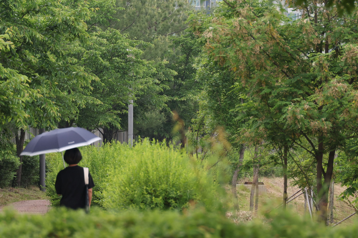 (고이란 기자 photoeran@)