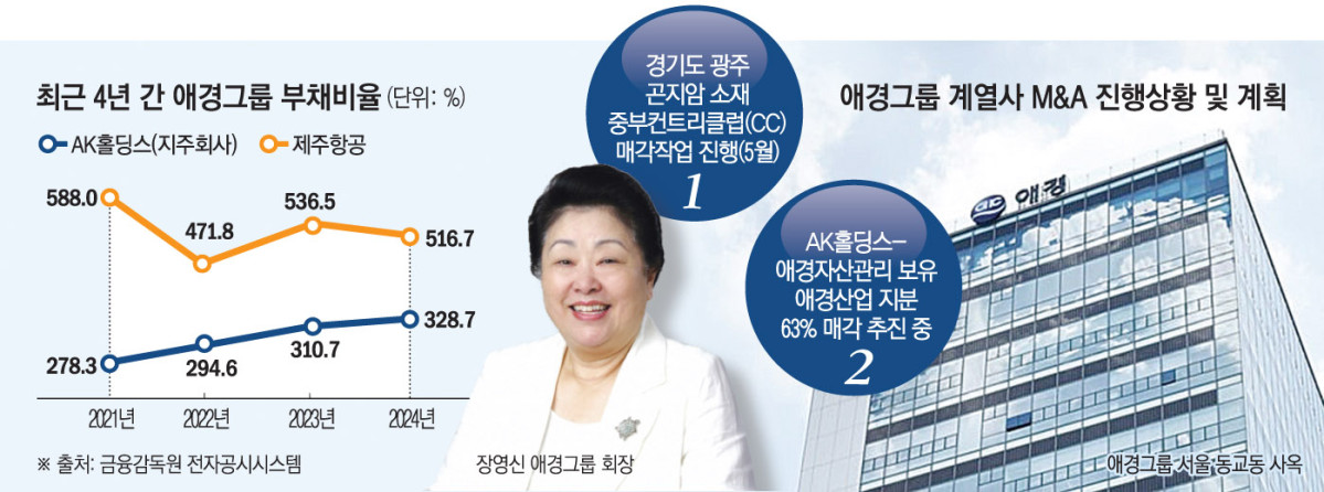 ▲애경그룹 부채비율 추이 및 M&A 진행상황, 계획 (이투데이 그래픽팀=손미경 기자)