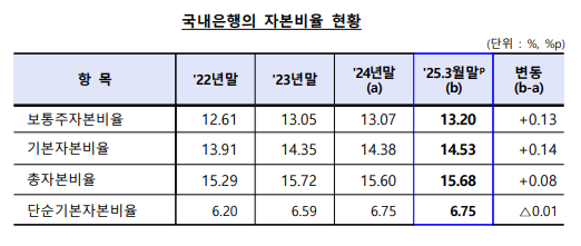 (자료제공=금감원)