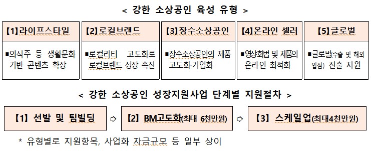 ▲강한 소상공인 육성 유형 및 단계별 지원 절차. (사진제공=중소벤처기업부)