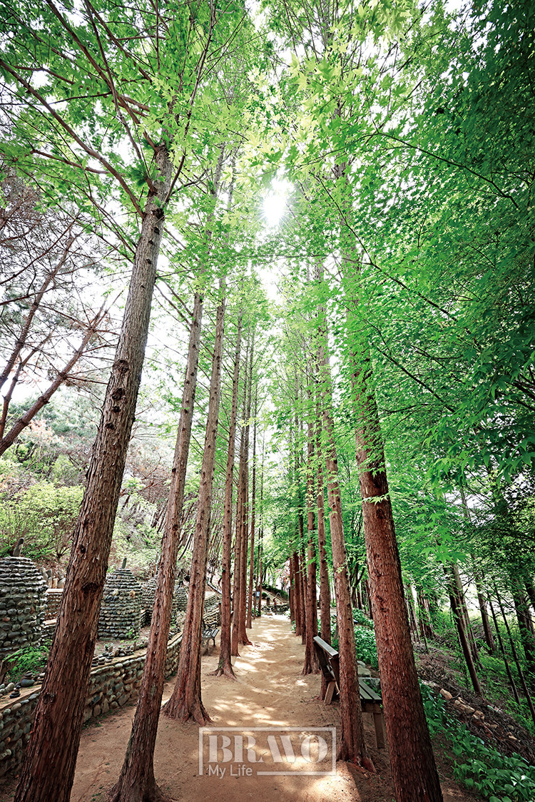 (주민욱 프리랜서)