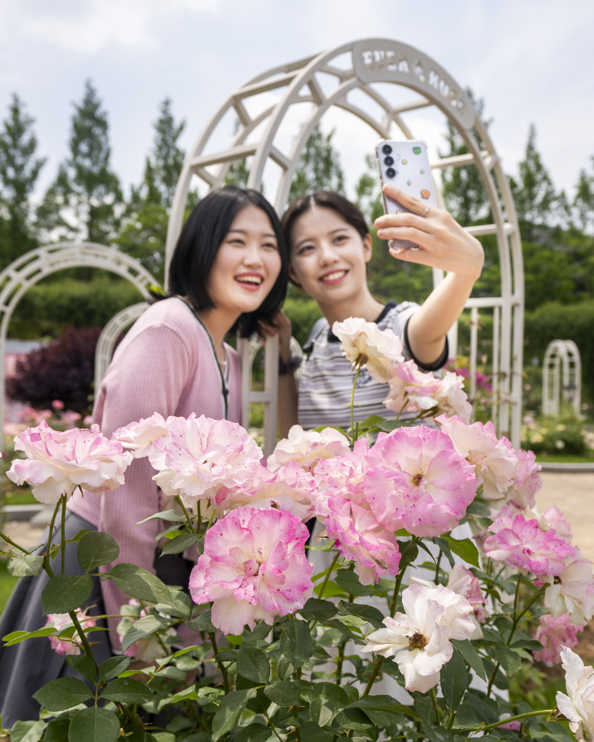 ▲상춘객들이 에버랜드 로로티 장미축제에서 인증샷을 찍고 있다.  (사진제공=삼성물산 리조트부문)