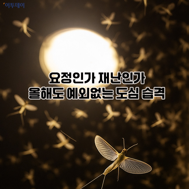 (출처=오픈AI 챗GPT)