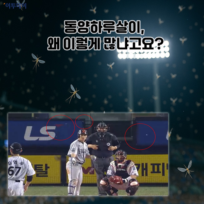(출처=오픈AI 챗GPT, MBC 스포츠플러스 캡처)