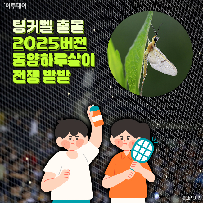 (디자인=김다애 디자이너 mnbgn@)