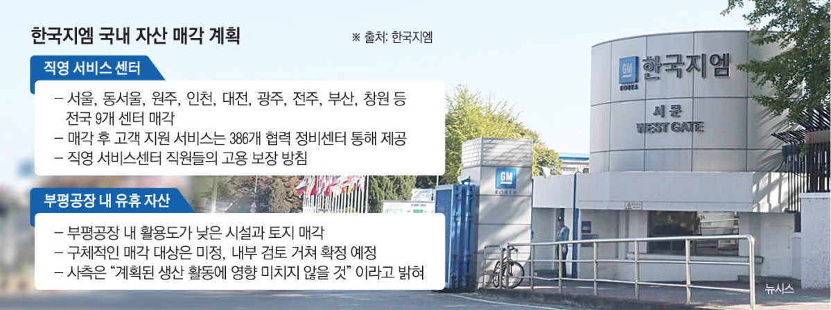 ▲그래픽=손미경 기자 sssmk@