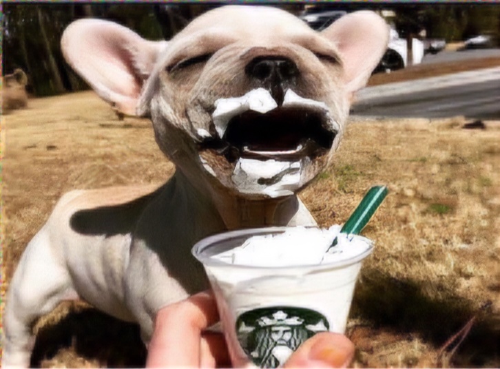 ▲강아지가 멍푸치노를 먹고 있는 모습. (사진=대한상공회의소)