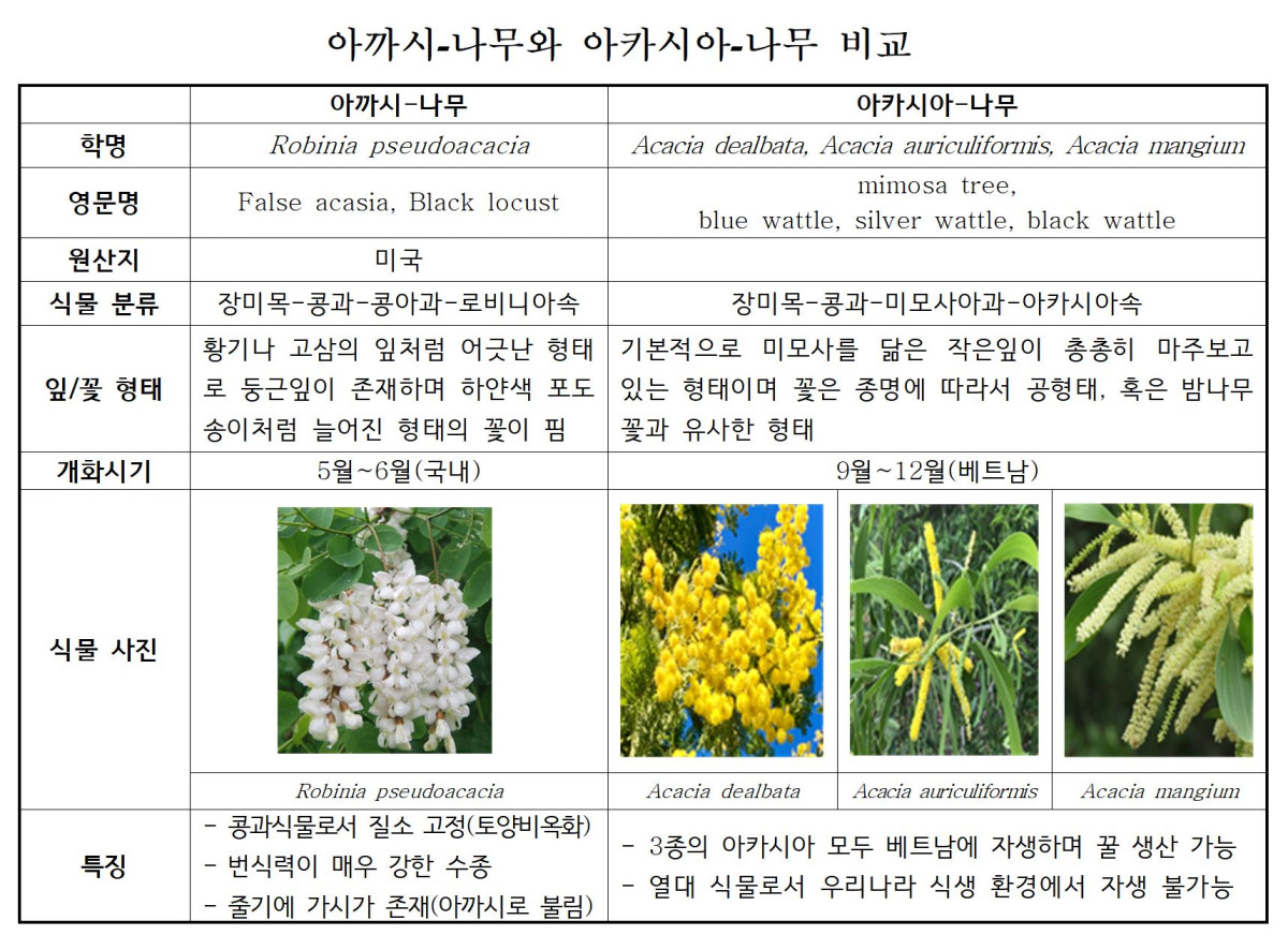 ▲아까시나무와 아카시아나무 비교. (축산물품질평가원)