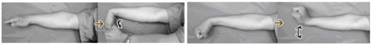 (대한견·주관절의학회)