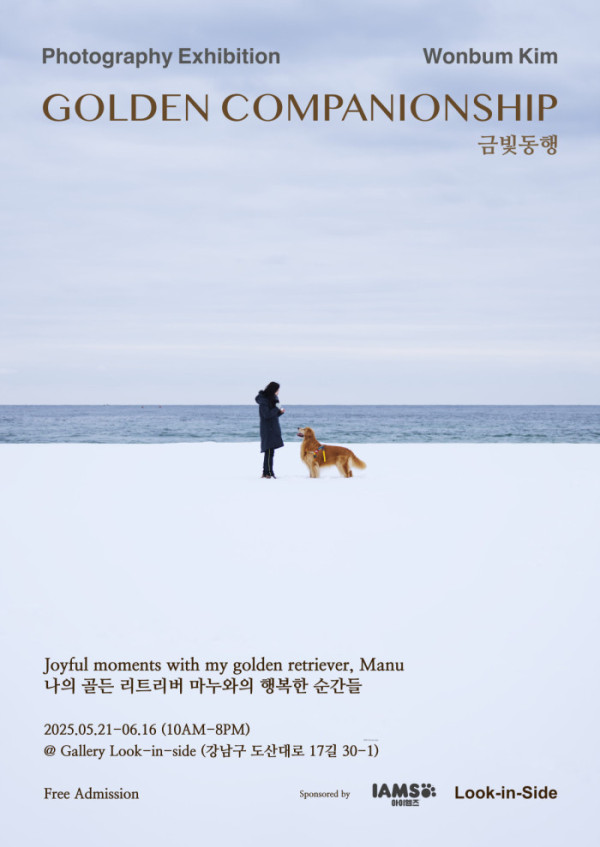 ▲ ‘금빛동행 - 나의 골든 리트리버 마누와의 행복한 순간들’(사진=에이스팩토리 제공)