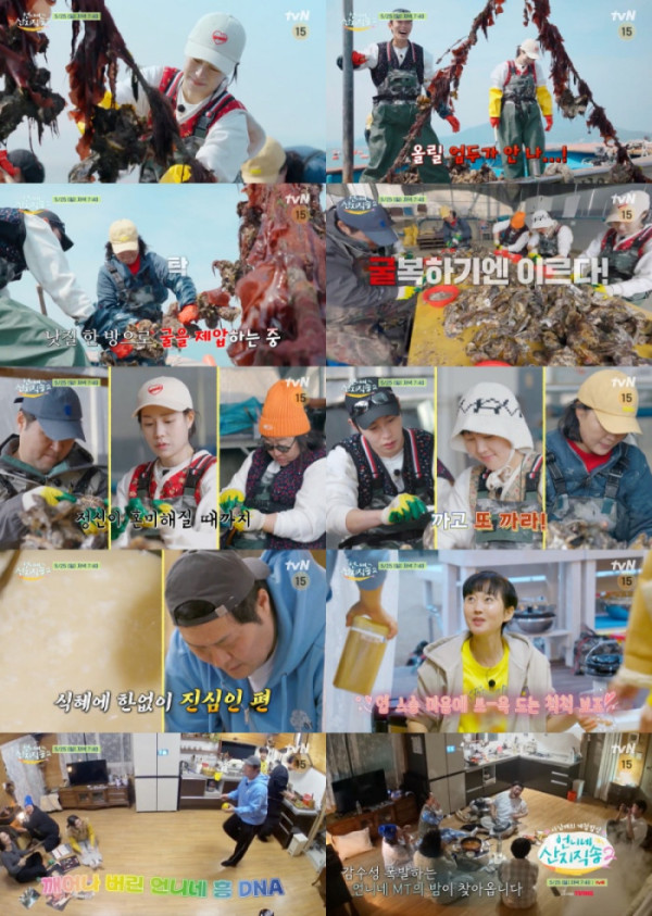 ▲'언니네 산지직송2' 완도 신지도 굴 조업 예고(사진제공=tvN)
