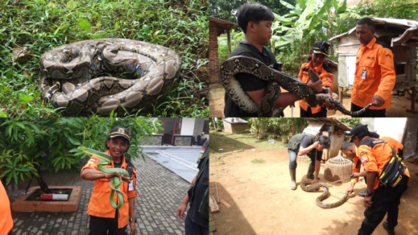 ▲'극한직업' (사진제공=EBS1 )