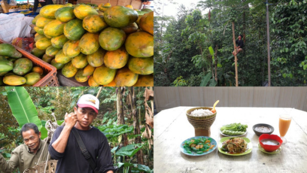 ▲'극한직업' (사진제공=EBS1 )