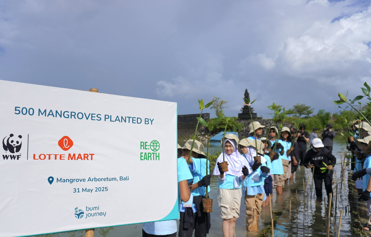 ▲31일(현지시간) 인도네시아 발리에 있는 맹그로브 에버리텀 공원에서 현지 초등학생들이 맹그로브를 심고 있다. (사진제공=롯데마트)