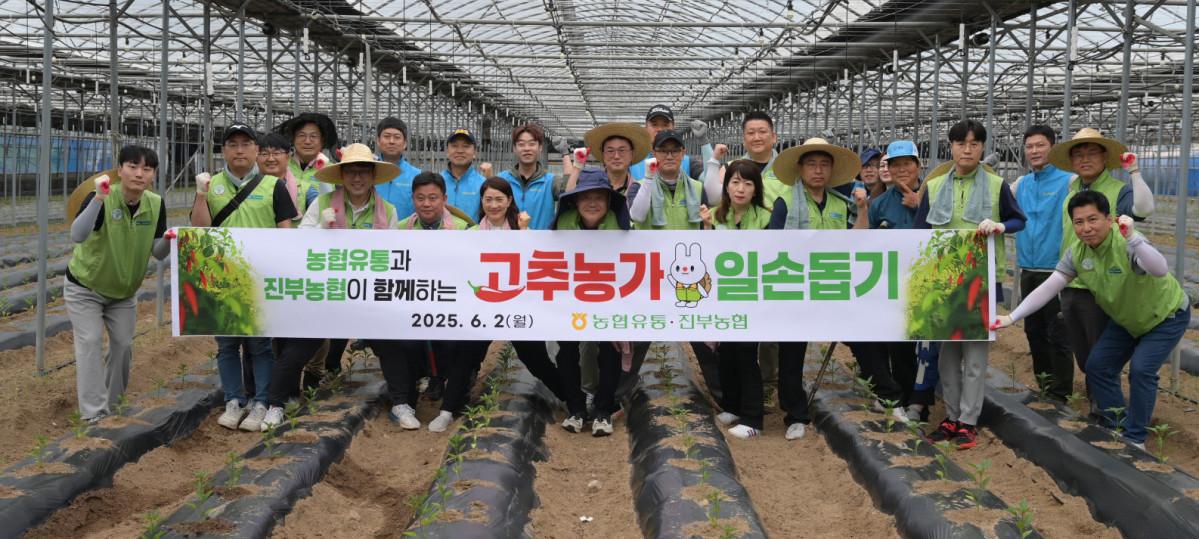 ▲2일 농협유통 임직원들이 강원도 평창을 찾아 고추 지지대 세우기를 하며 일손을 보탰다. (사진제공=농협유통)