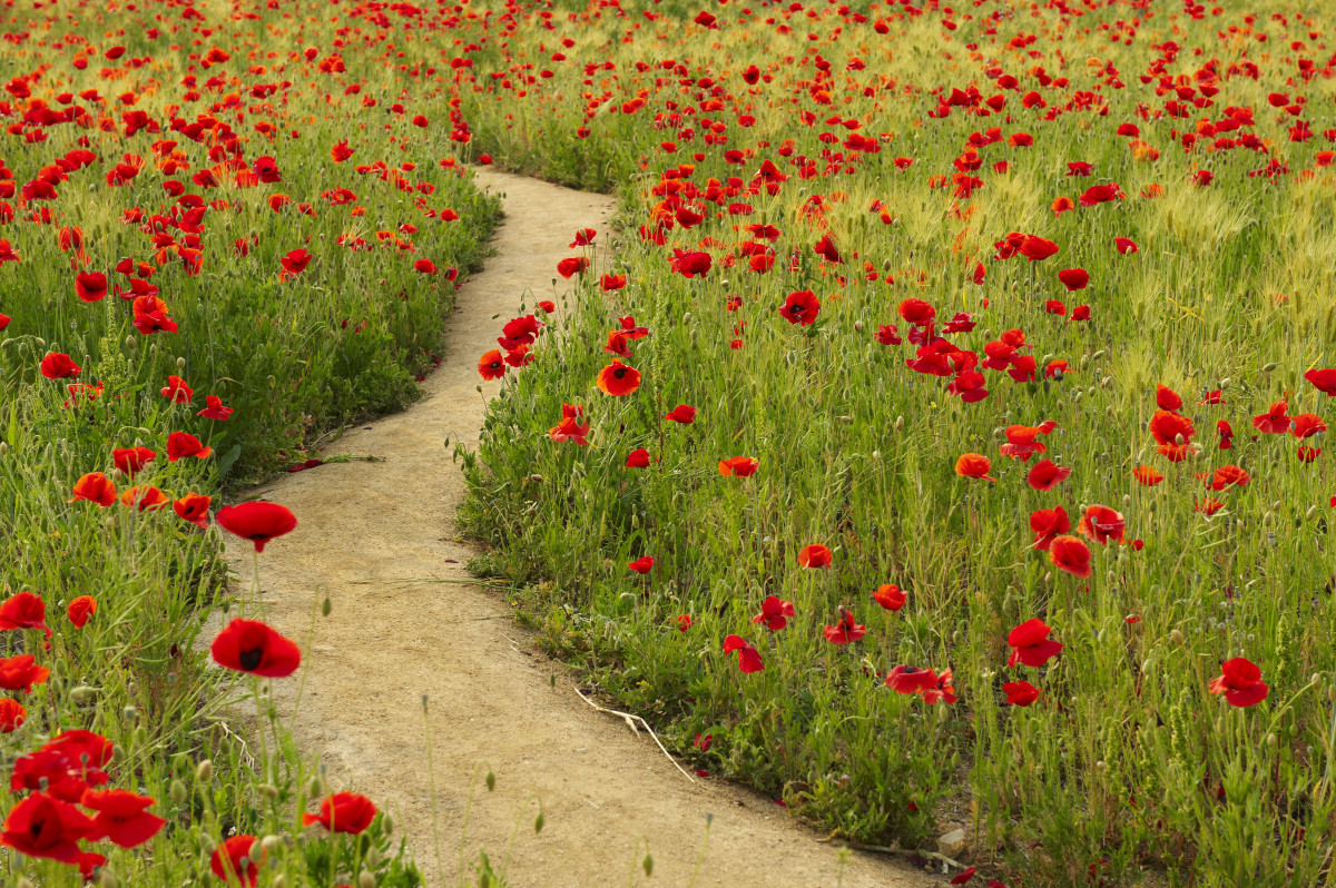 ▲(게티이미지뱅크)