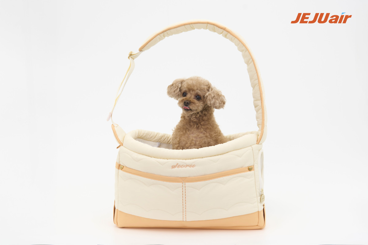 ▲제주항공은 반려동물 탑승 무게를 상향하고 펫 멤버십을 출시하는 등 반려동물 운송 서비스를 강화한다고 밝혔다. (사진=제주항공)