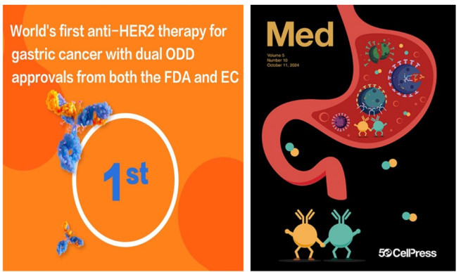 ▲앱클론은 AC101은 FDA와 유럽에서 anti-HER2 위암치료제 희귀의약품으로 동시에 최초 승인을 받았으며 그 기전이 국제 학술지 Med 커버 논문으로 소개됐다고 밝혔다.  (사진제공 = 앱클론)