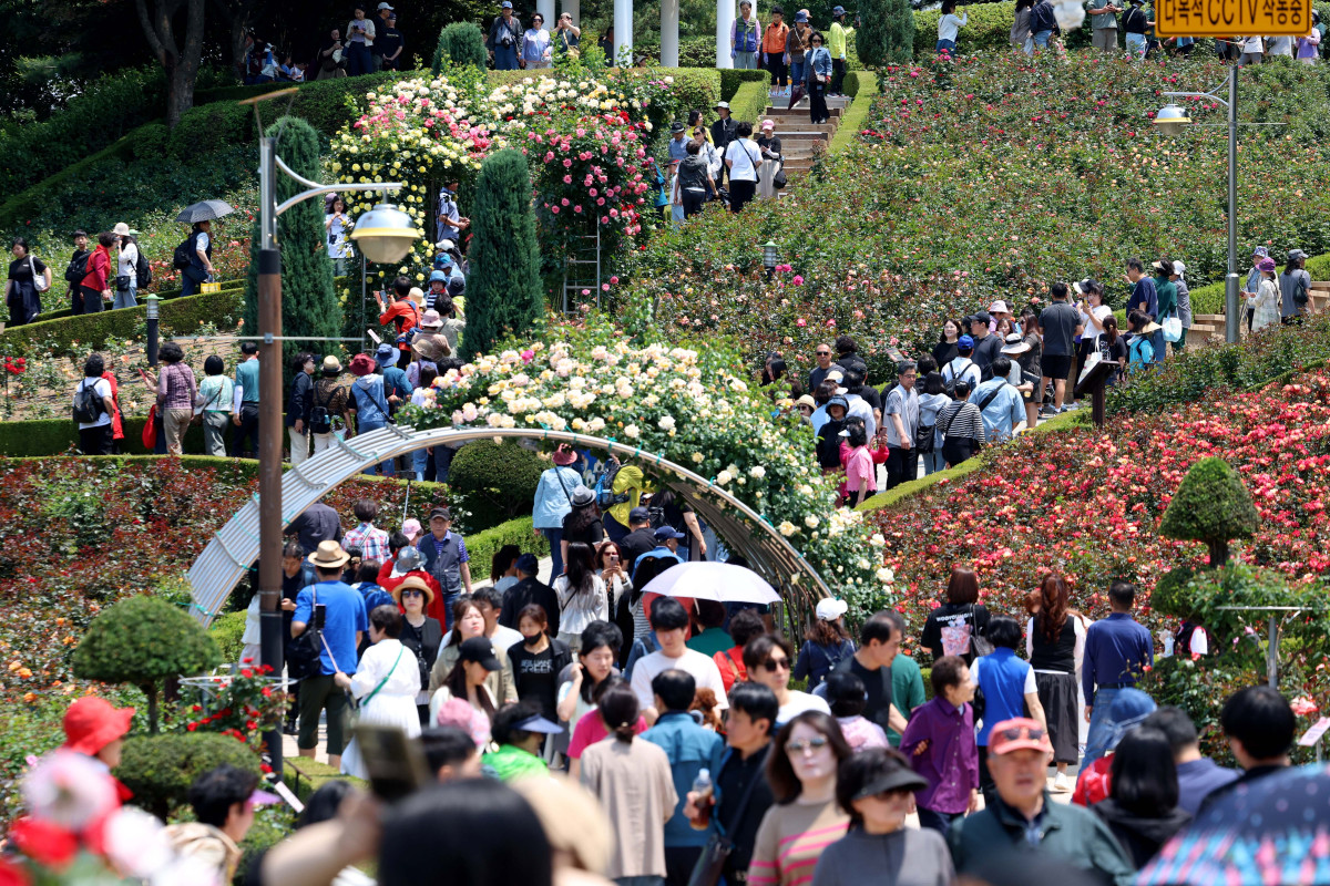 (신태현 기자 holjjak@)