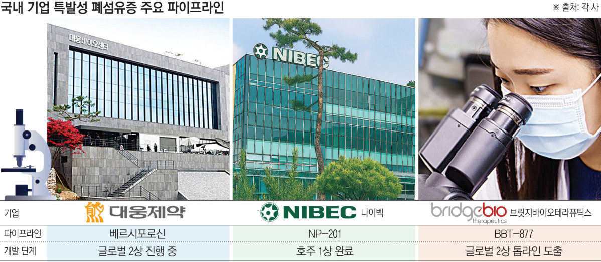 (그래픽=손미경 기자 sssmk@)