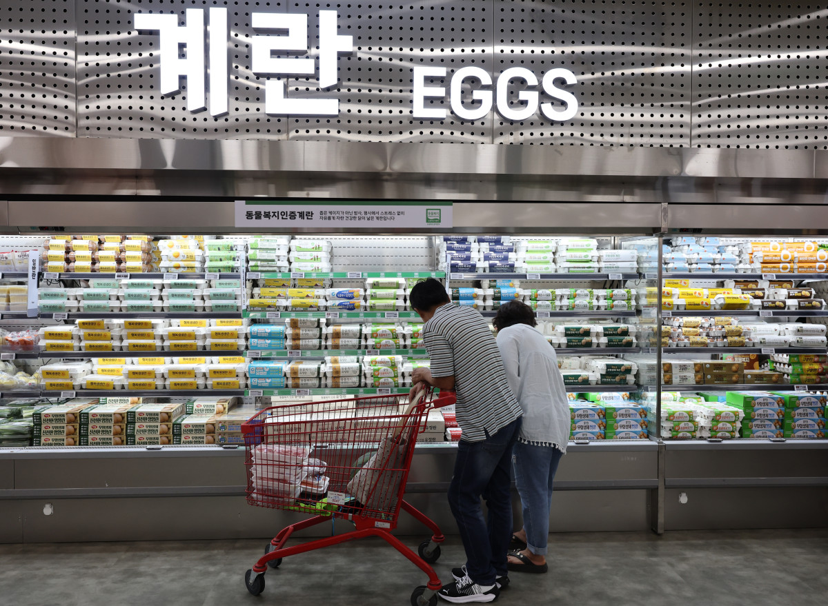 ▲8일 서울 시내 한 대형 마트에 계란이 진열돼 있다. (연합뉴스)