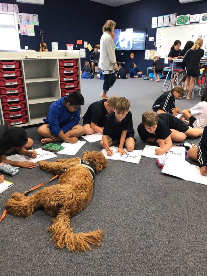 ▲치료견이 있는 뉴질랜드 교실