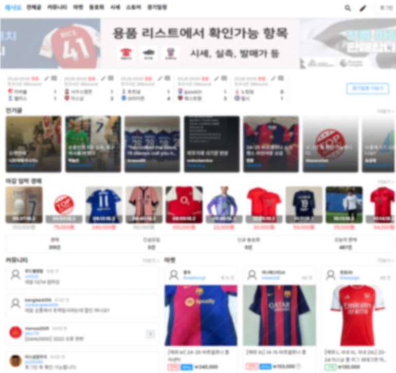 ▲대학생 A씨가 운영한 온라인 판매 사이트. (사진제공=관세청)