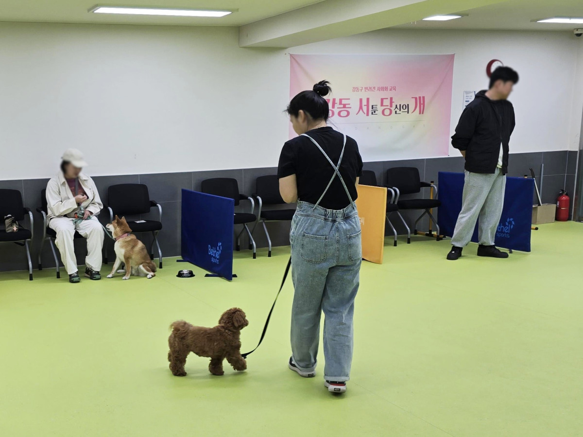 ▲강동서당 운영 현장. (사진제공=강동구)
