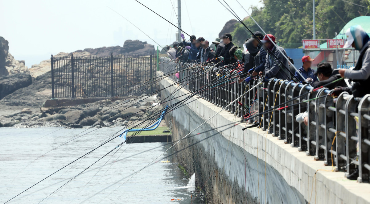 ▲부산 서구 암남공원 공영주차장에서 시민들이 낚시를 하고 있다. (뉴시스)