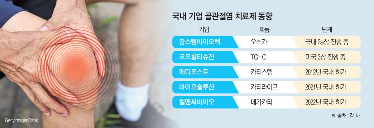 초고령 사회 고질병 ‘골관절염’…국산 치료제 옵션 늘어날까