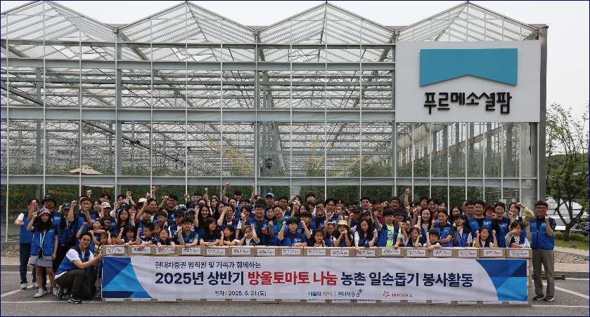 ▲현대차증권 임직원이 지난달 31일 경기도 여주에서 농촌일손돕기 방울토마토 수확 봉사활동을 진행했다. (사진=현대차증권)