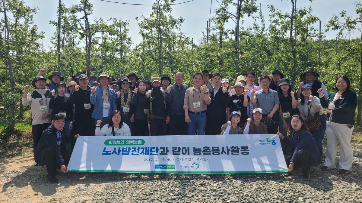 ▲노사발전재단과 봉사자들이 경기 포천시 사과농가에서 농촌 일손 지원 봉사활동에 참여하고 있다. (경기농협)
