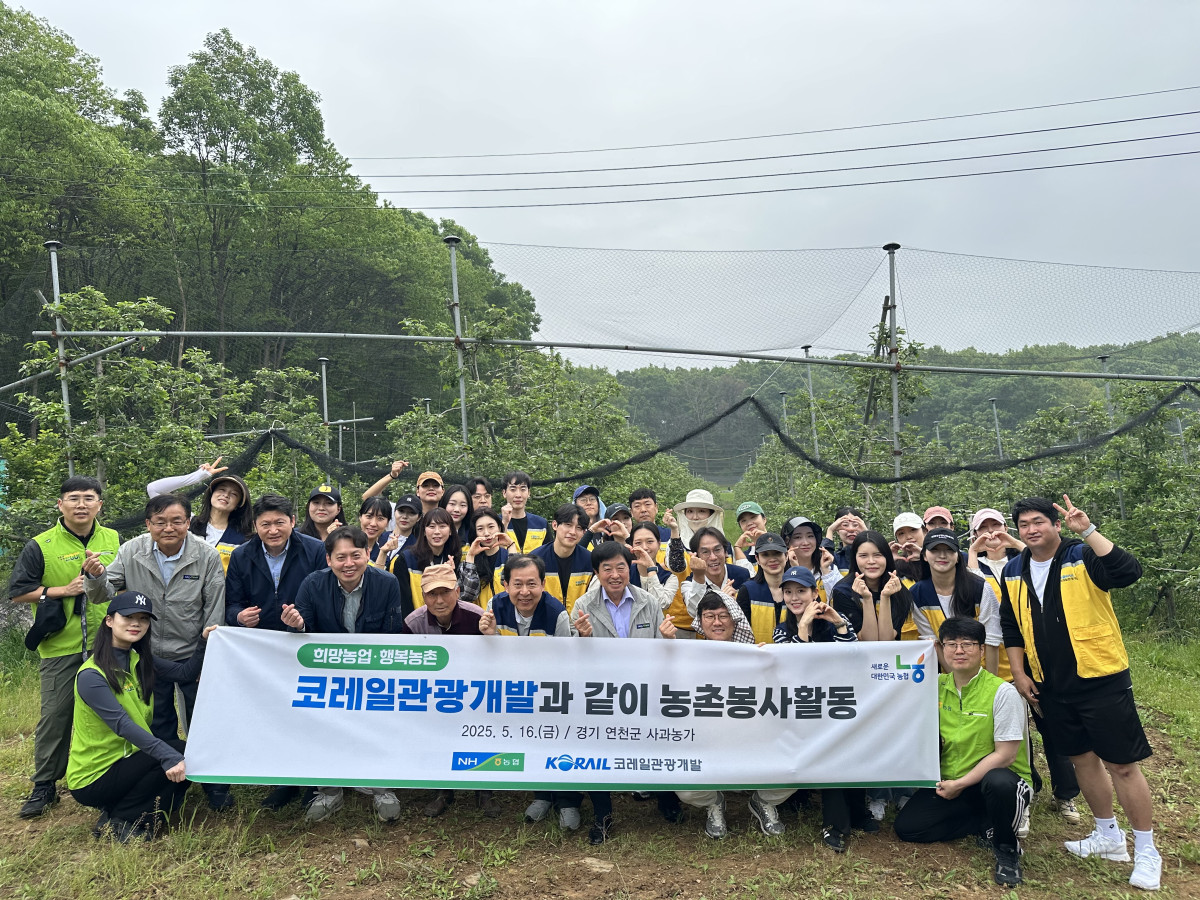 ▲코레일관광개발과 NH농협 관계자 등 봉사자들이 경기 연천군 사과농가에서 농촌 일손 돕기 봉사활동에 참여하고 있다. (경기농협)