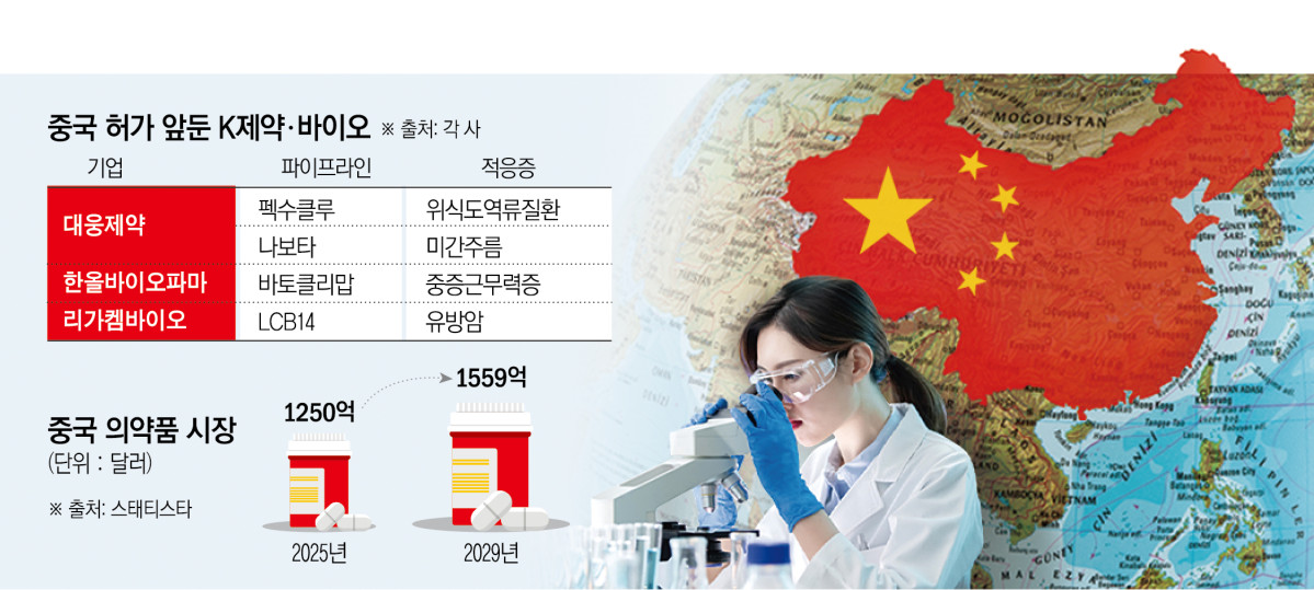 (그래픽=신미영 기자 win8226@)