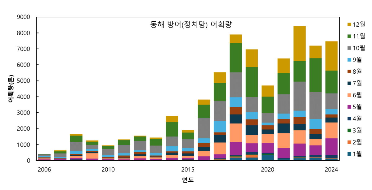 ▲동해 방어 어획량 추이. (국립수산과학원)