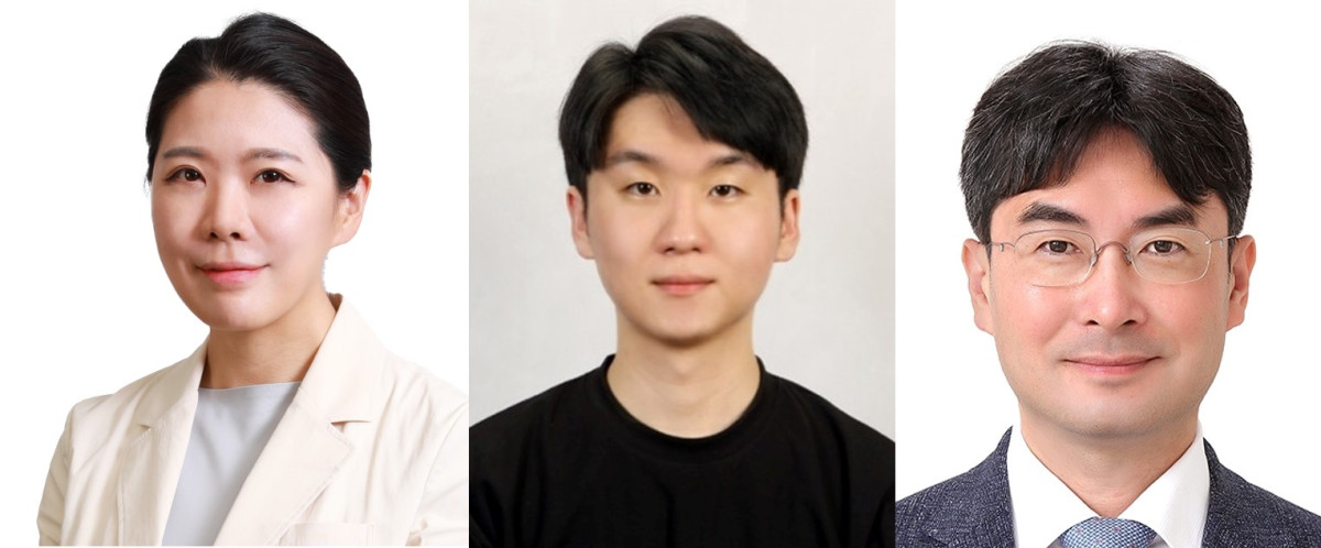 ▲(왼쪽부터)신현영 서울성모병원 가정의학과 교수, 이혁종 서울대학교 의생명과학과 연구원, 박상민 서울대병원 가정의학과 교수 (서울성모병원)