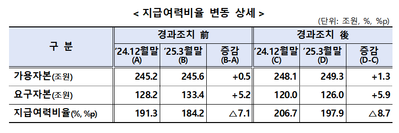 (자료제공=금융감독원)
