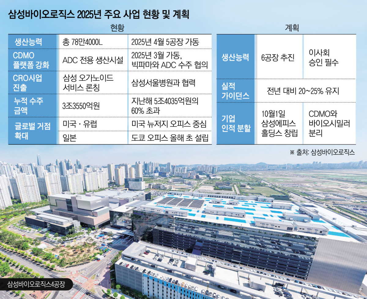 (그래픽=김소영 기자 sue@)