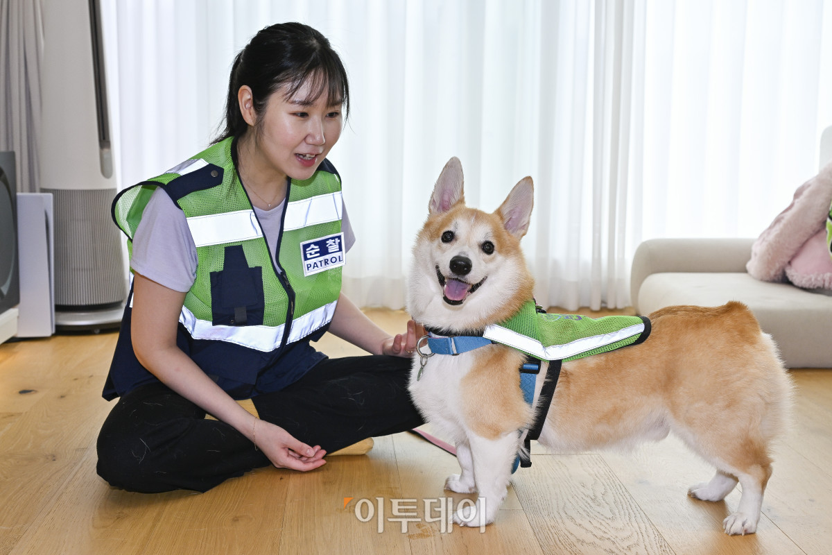 ▲반려견순찰대 굴비(4살)와 최나리 씨가 31일 서울 자택에서 동네 순찰 준비를 하고 있다. 조현호 기자 hyunho@