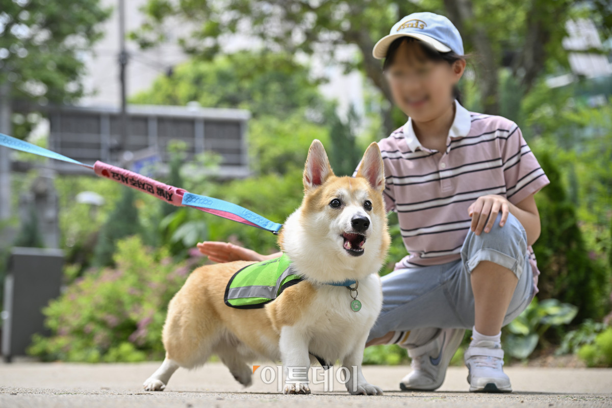 ▲반려견순찰대 굴비(4살)가 31일 서울 시내에서 순찰 중 만난 어린이에게 쓰다듬을 받고 있다. 조현호 기자 hyunho@